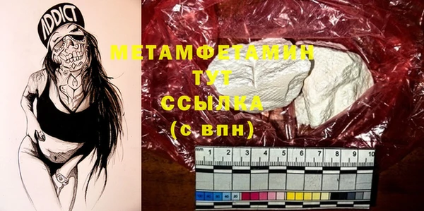 шишки Карпинск