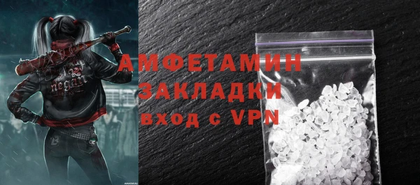 шишки Карпинск
