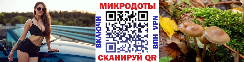 Купить закладки  Калачинск  Псилоцибиновые грибы прущие грибы 