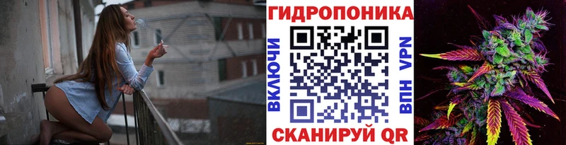 Купить закладки  Калачинск  Каннабис индика 